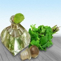 Mentha Piperita Oil