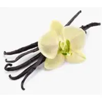 Vanilla Extract