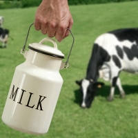 Milk
