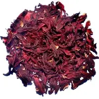 Hibiscus Flowers
