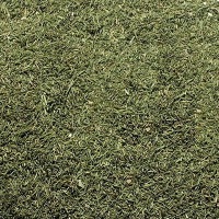 Dill Crushed Leaves