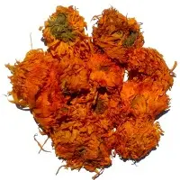 Calendula Flowers