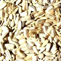 Sunflower Seeds (White)