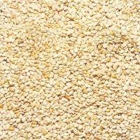 White Sesame Seeds (Egypt)