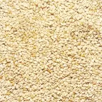 White Sesame Seeds (Egypt)