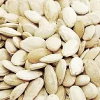 Melon Seeds