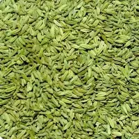 Fennel Seeds