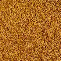 Clover Seeds
