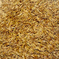 Caraway Seeds