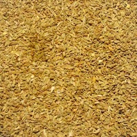 Anise Seeds