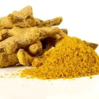 Turmeric (Curcuma)
