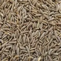 Cumin Seeds