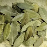 Laurel