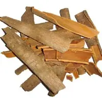 Cinnamon