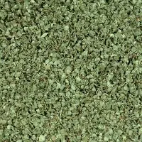 Marjoram