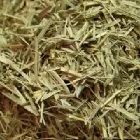Lemongrass