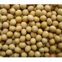 Soybeans