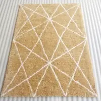 Shaggy Rug