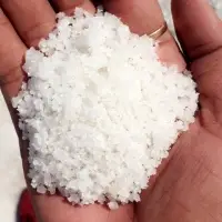 Raw Sea Salt