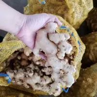 Fresh Ginger 300gr Up