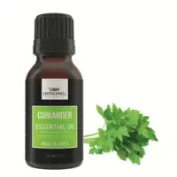 Coriander ( Coriandrum Sativum)