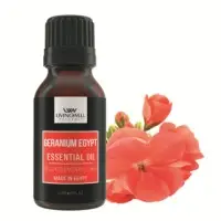 Geranium Egypt ( Pelargonium Graveolens)