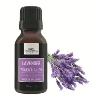 Lavender (lavandula Angustifolia)