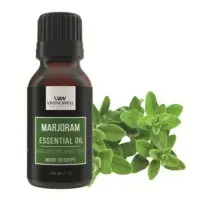 Marjoram ( Origanum Majorana)