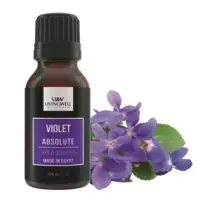 Violet ( Viola Odorata)