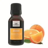 Orange ( Citrus Sinensis)