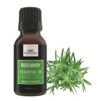 Rosemary ( Rosmarinus Officinalis)