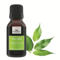 Tea Tree ( Melaleuca Alternifolia)