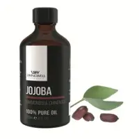 Jojoba ( Simmondsia Chinensis)