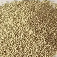 Lysine
