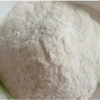 Shrimp Meal