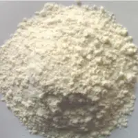 Rice Protein Meal High Protein