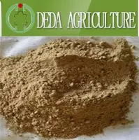 Fish Meal