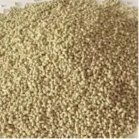 Lysine