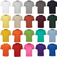 Basic T-Shirt