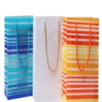 PP Gift Handle Bag