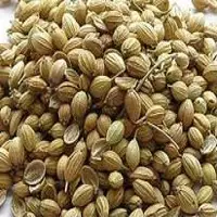 Coriander Seeds
