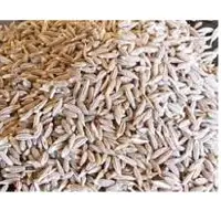 Cumin Seeds