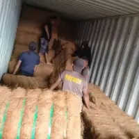 Coconut Fiber
