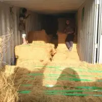 Coco Fiber