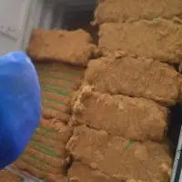 Coconut Coir
