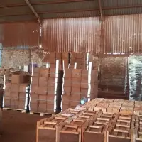 Coco Peat Block