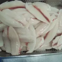 Frozen Tilapia Fillets