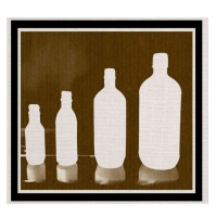 Beer Bottle