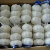 Fresh Garlic