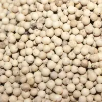 White Pepper